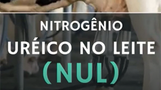 Análise NUL aumenta a produtividade e lucratividade